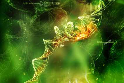 DNA - the genetic substance